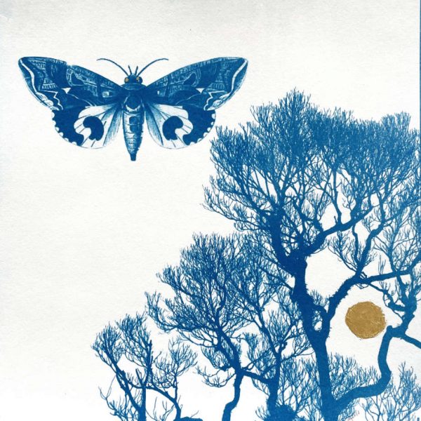 blue butterfly, tree
