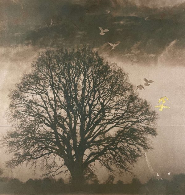 tree and flying birds