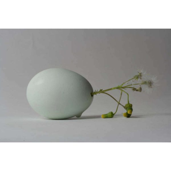 wild flower in egg