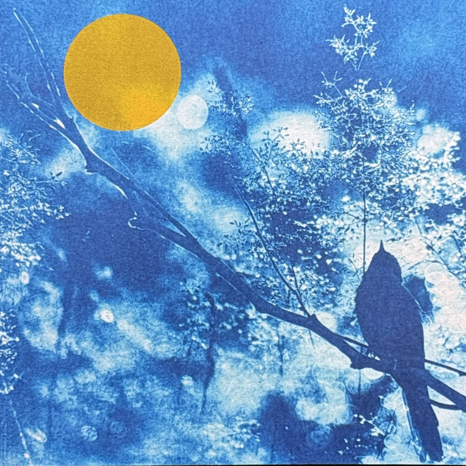 Winter Blue Birds