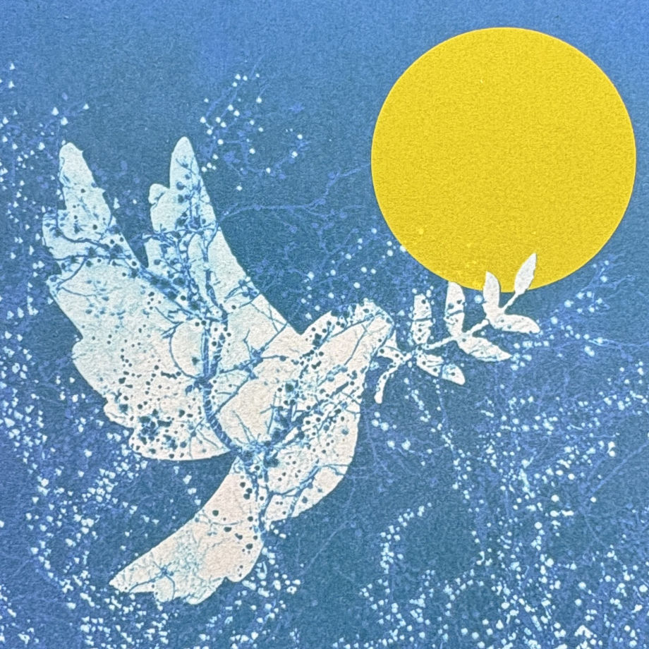 Winter Blue Dove