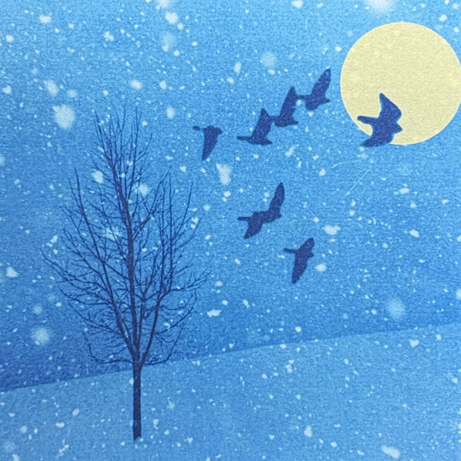Winter Blue Flight 2