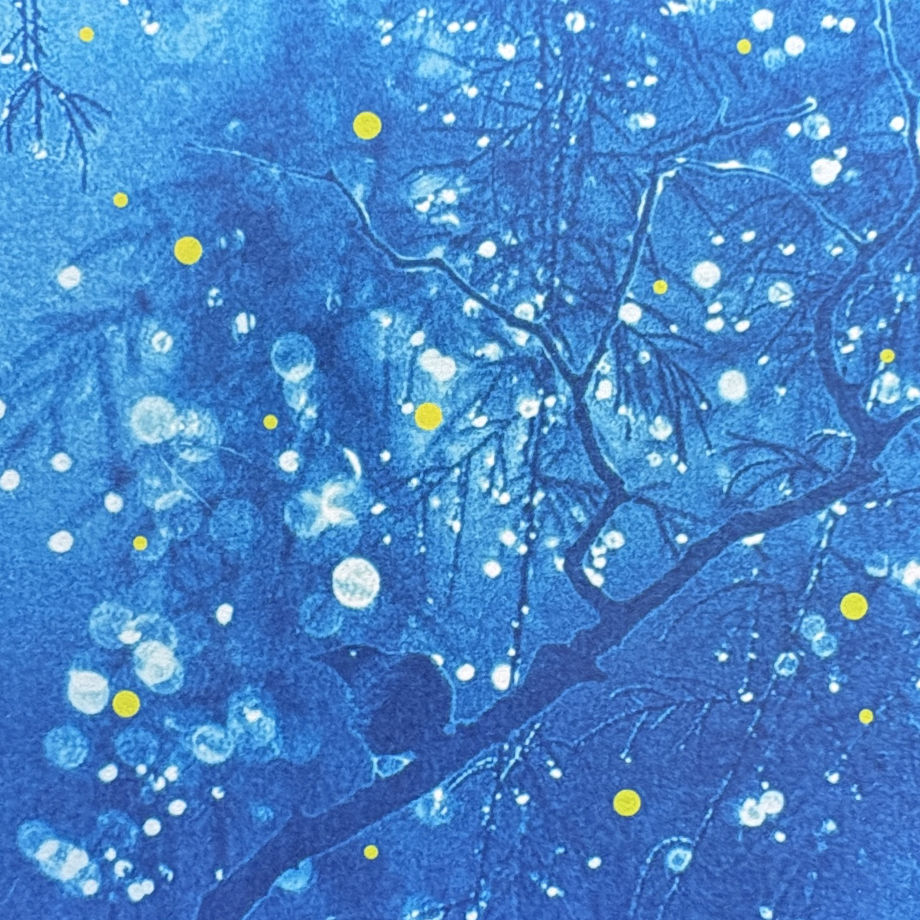 Winter Blue Lights