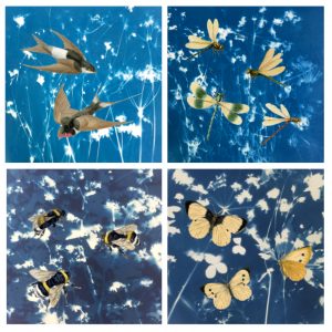 bees, swallows, butterflies and dragonflies